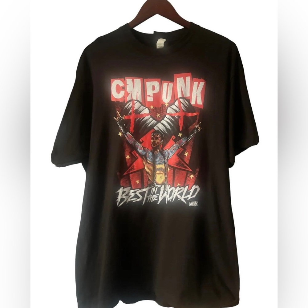 Cm Punk Best in the World